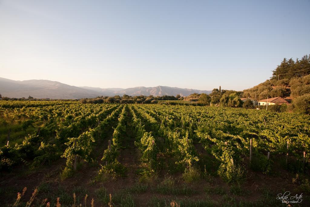 L'Antica Vigna Villa Randazzo Luaran gambar